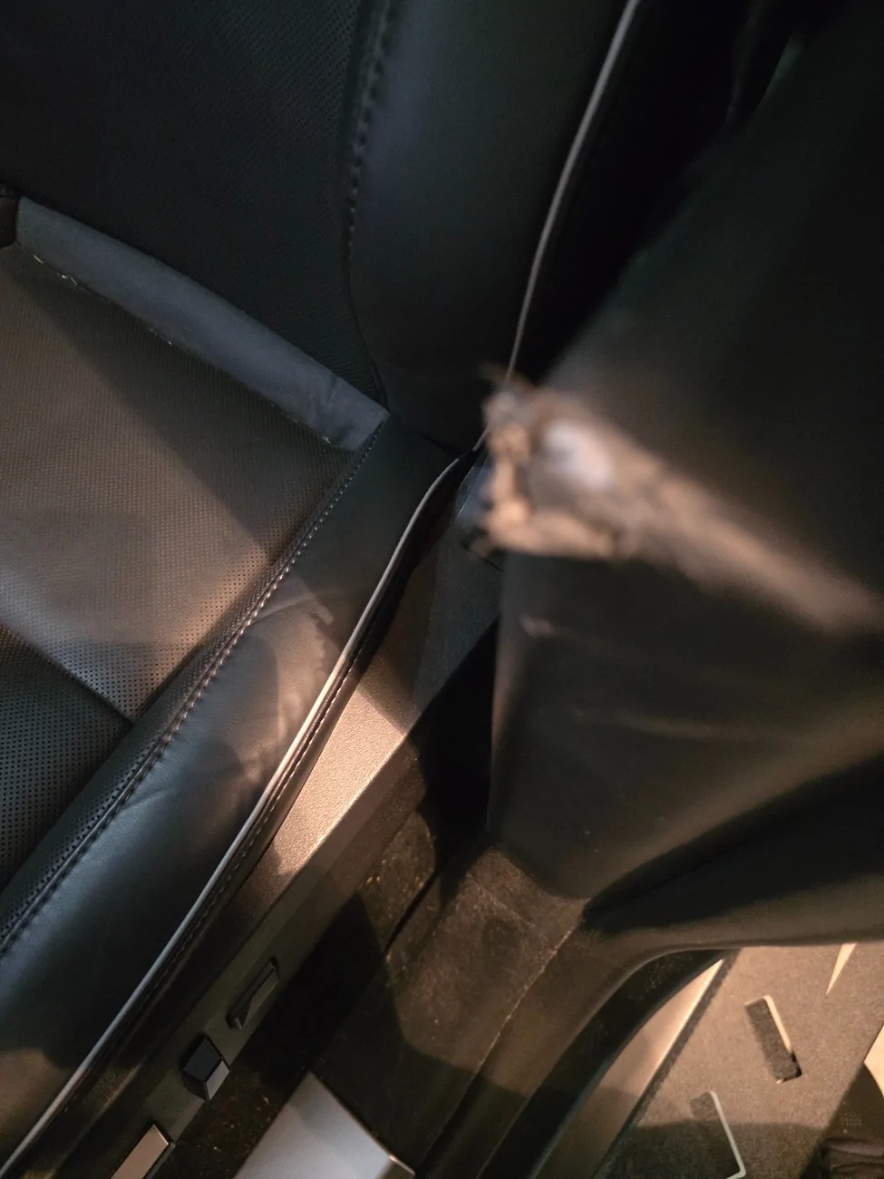 Tesla Cybertruck Preventing interior wear and tear? 20260520_124016