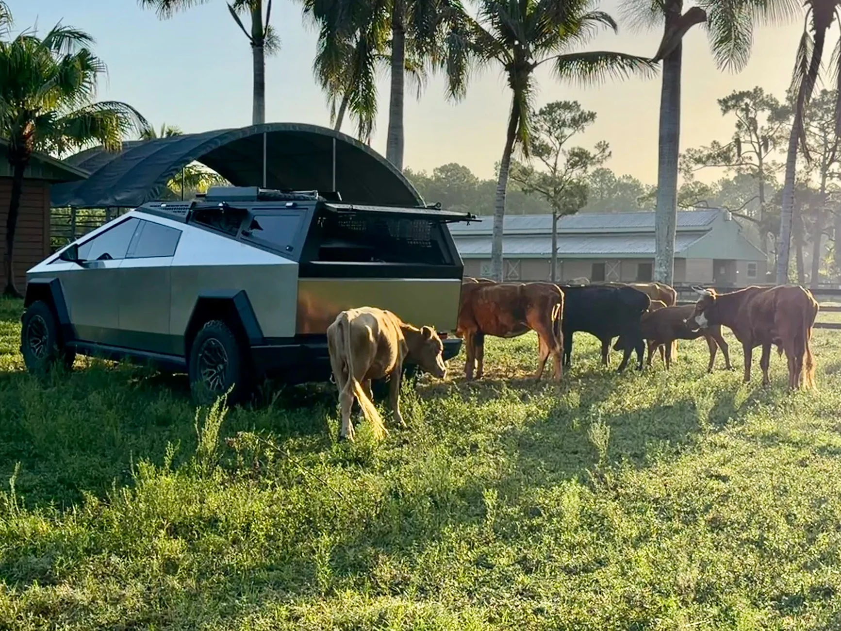 Tesla Cybertruck Daily random Cybertruck photos thread - Post Yours! 📸 🤳 IMG_5765