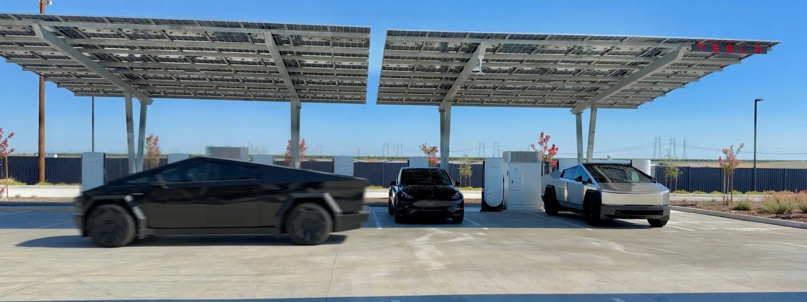 Tesla Cybertruck Daily random Cybertruck photos thread - Post Yours! 📸 🤳 IMG_0456