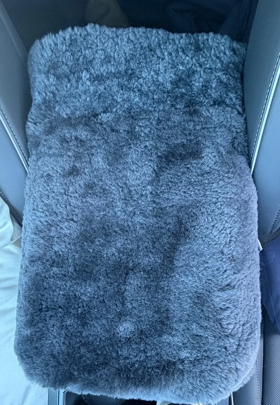 Tesla Cybertruck Best interior addition 🐑 IMG_9039