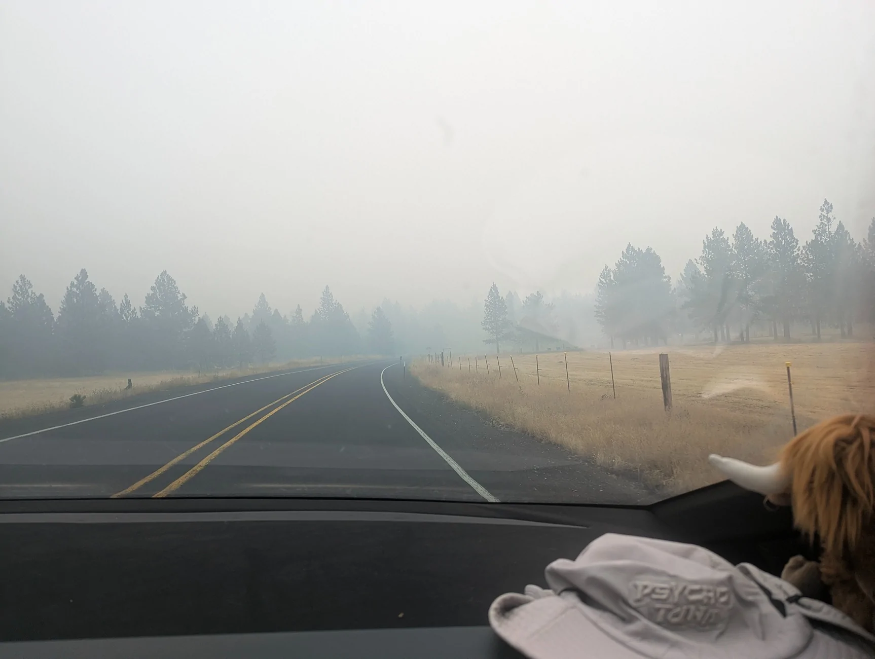 Tesla Cybertruck Biohazard Defense Mode Engaged 1000013599