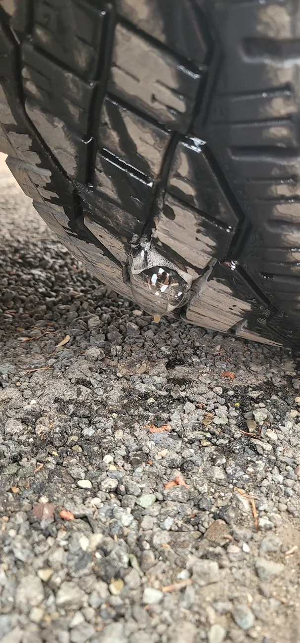 Tesla Cybertruck Double Puncture Manning Park BC 20260722_154541