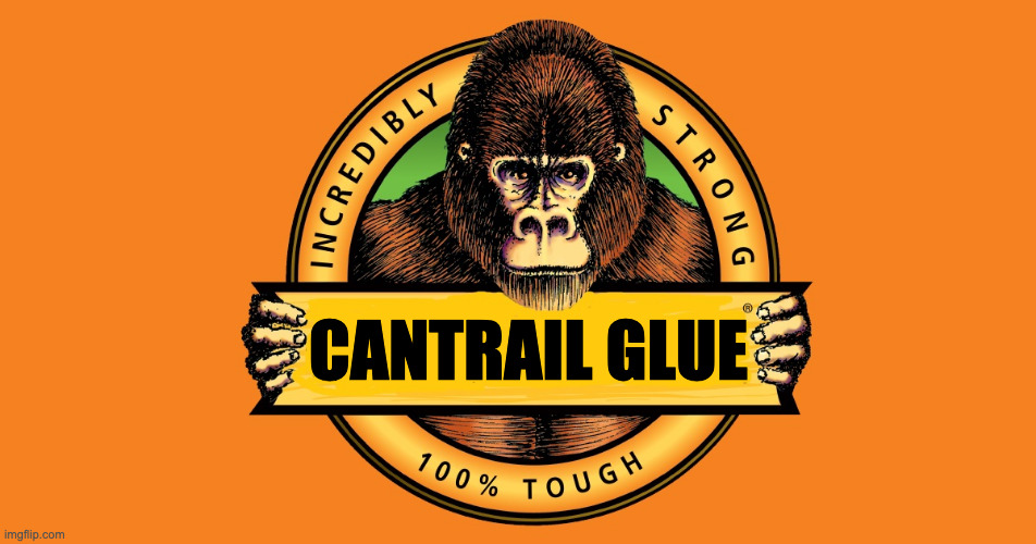 Tesla Cybertruck Beware: The Cantrail Issue Might Still Be An Issue 9oq61