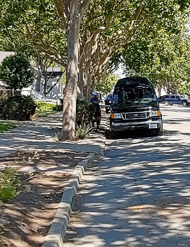 Tesla Cybertruck Line striping goes rogue... crookedcurb