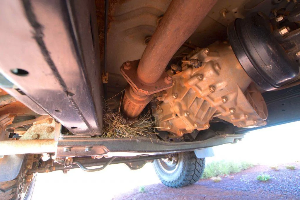 Tesla Cybertruck EVs vs Floods - no, Florida, they don't explode. grass-exhaust-fire-1024x683