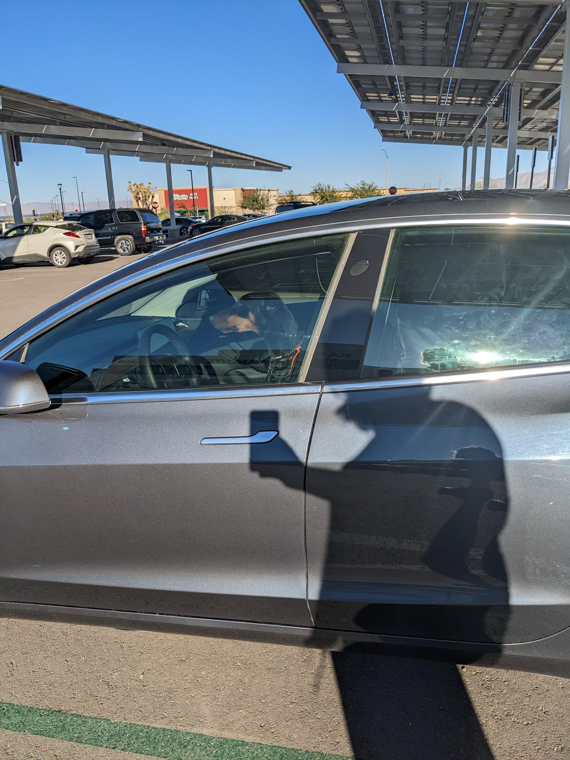 Tesla Cybertruck Dog Sentry Mode PXL_20220923_000324624