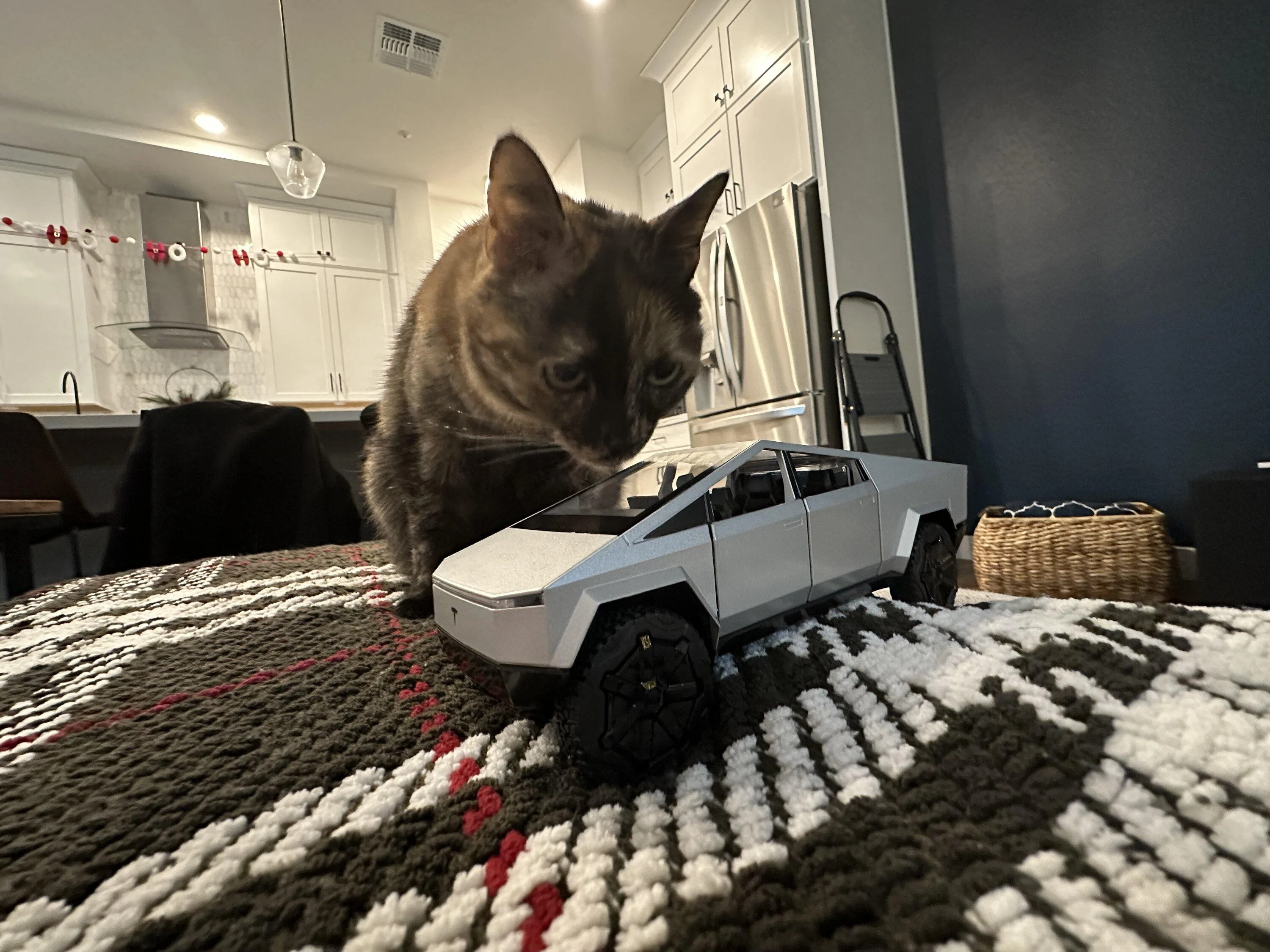 Tesla Cybertruck I GOT MINE!!! 3F942E2E-2415-4A7B-8585-8258A8F61823