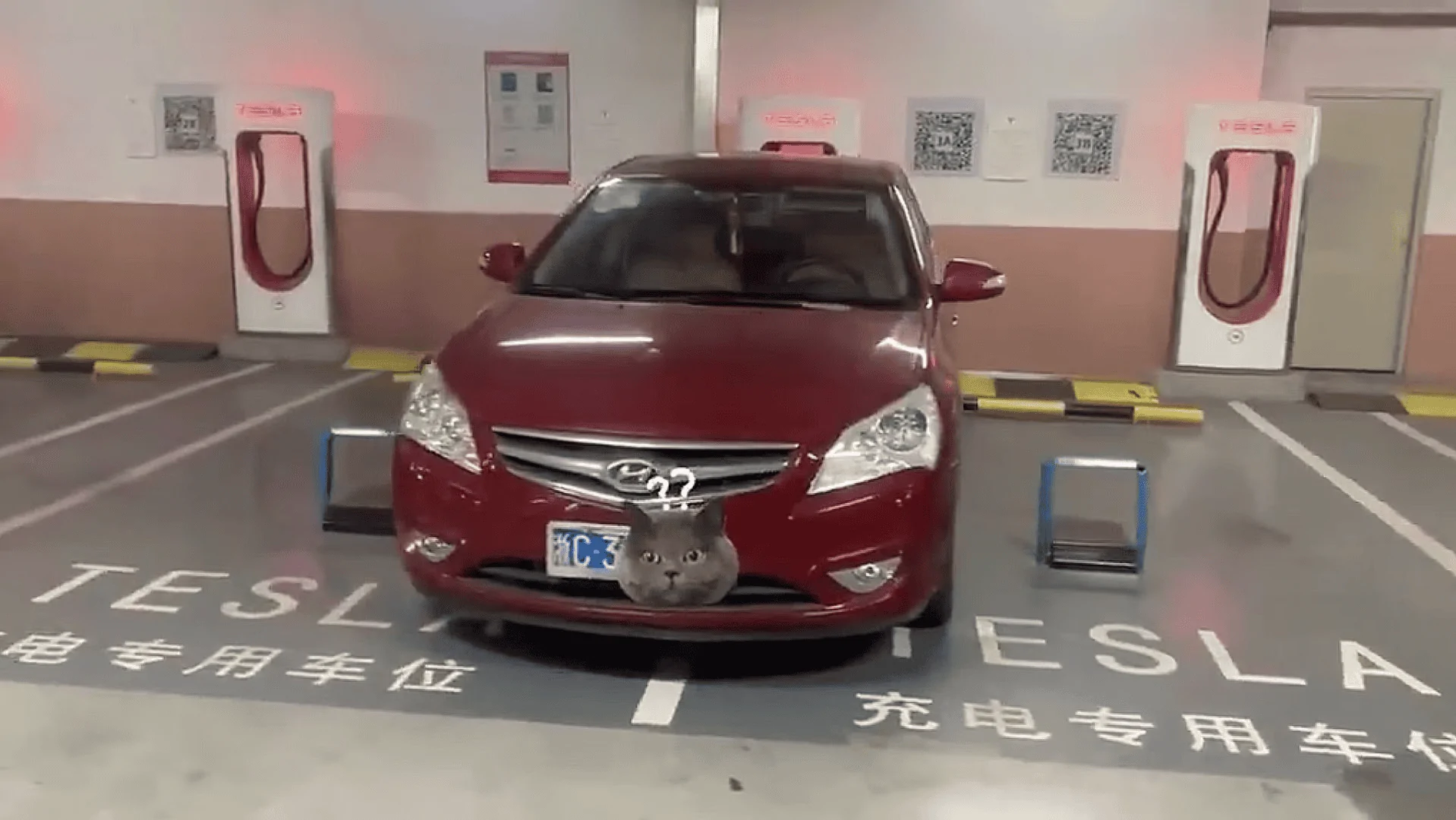 Tesla Cybertruck Coming down hard on ICE taking up EV charging bays 1677648336843