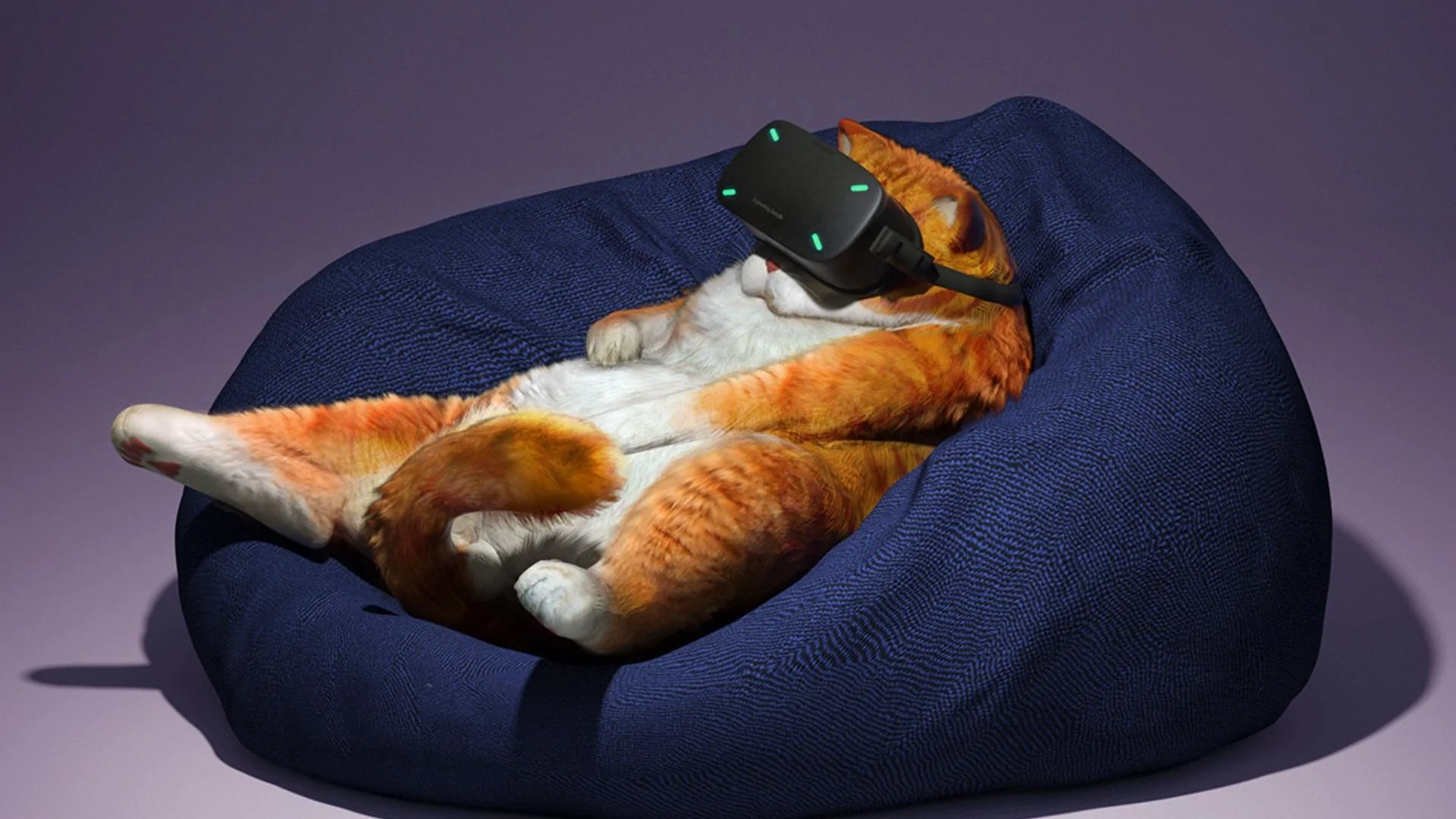 Tesla Cybertruck Official Cybertruck Accessory store is live!! Includes: Tailgate ramp, Basecamp, wrap, franz ball decal and more 117-1171091_wallpaper-cat-glasses-virtual-reality-funny-cool-cat