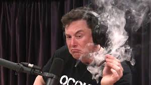Tesla Cybertruck 48v Battery for Cybertruck! Elon420