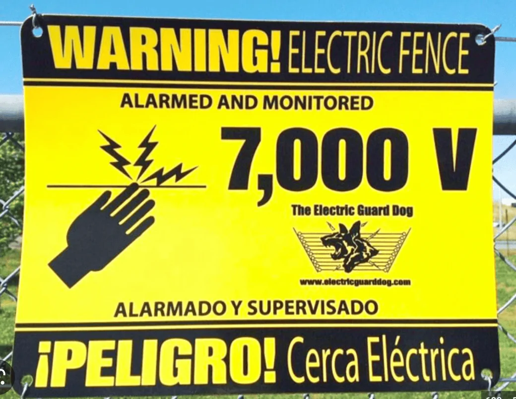 Tesla Cybertruck Dirty Pictures and wishful thinking... Screen Shot 2023-04-11 at 16.29.13