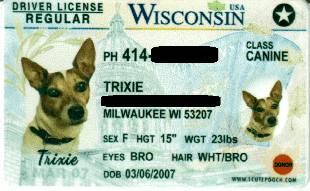 Tesla Cybertruck How will you take your dog? 1683128776885