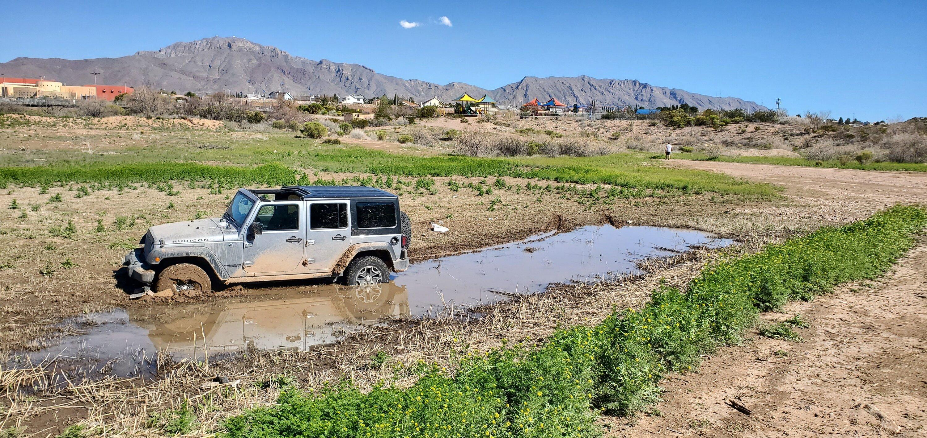 Tesla Cybertruck Cybertruck spotted stuck in the mud? 20200314_154812