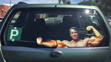 baw-arnold.gif