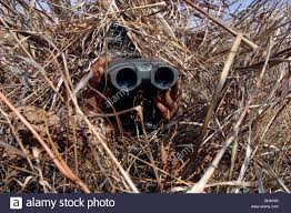Tesla Cybertruck Report: Cybertruck Factory is headed to Austin Texas! binoculars