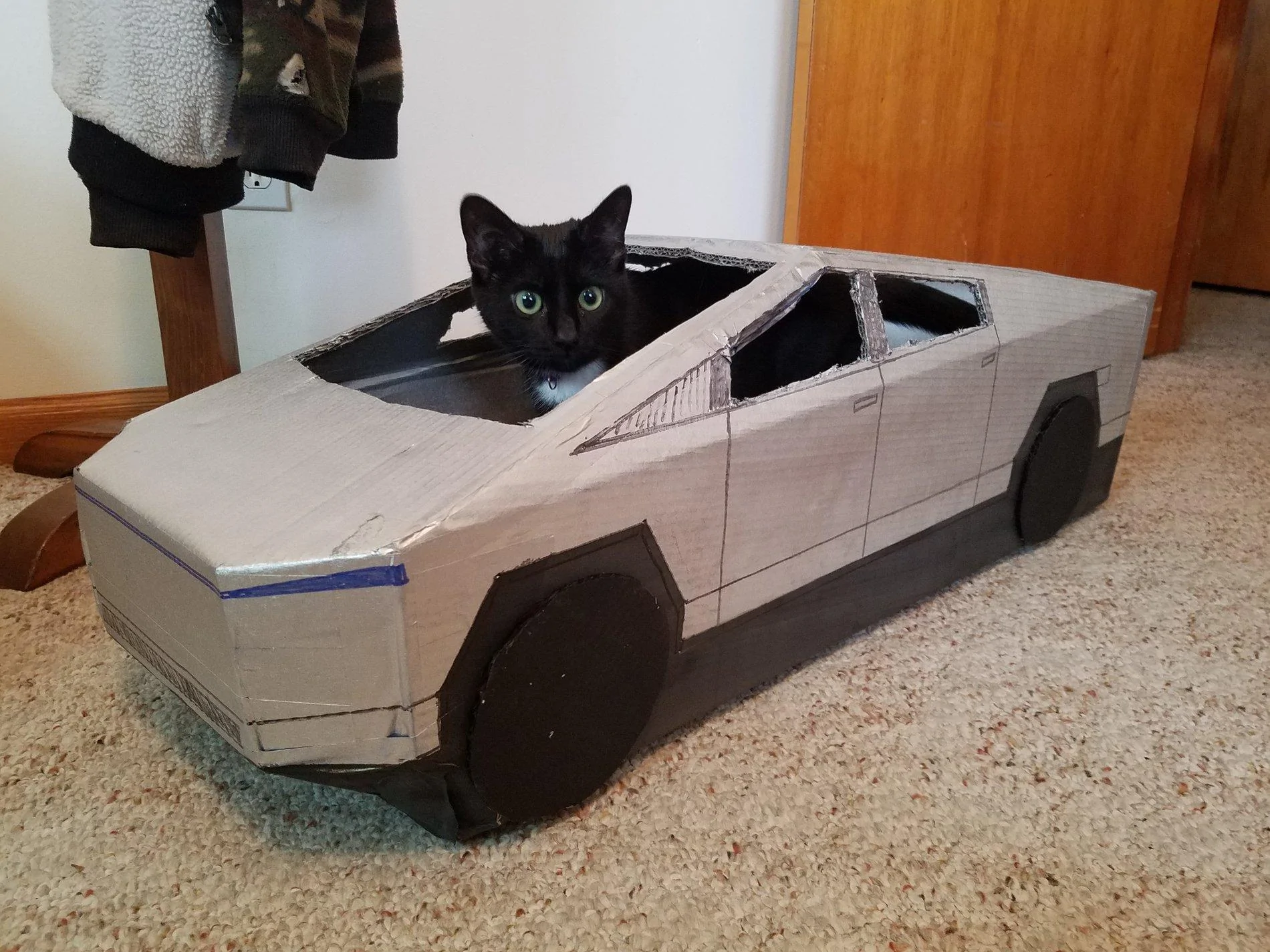 Tesla Cybertruck Funny Cybertruck memes, images, videos 🤣 20200111_153310[1]
