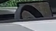 Tesla Cybertruck HD Walkaround Video of Camo Beta Cybertruck! 1690181301681