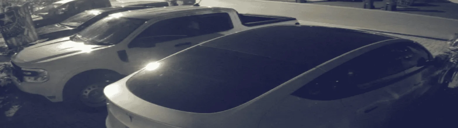 Tesla & Maverick.png