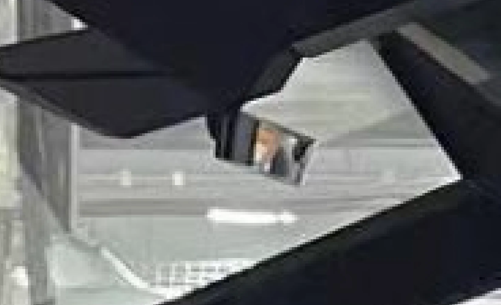 Tesla Cybertruck New peek at Cybertruck in general assembly at Giga Texas Factory 🫣 [8/24/23 photo] Screenshot 2023-08-24 162354