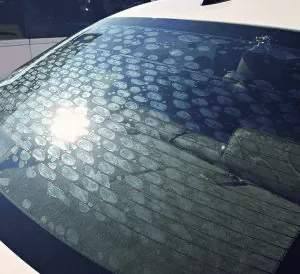 Tesla Cybertruck Anyone have experience wrapping vehicles? Vinyl cost? 1693503542418