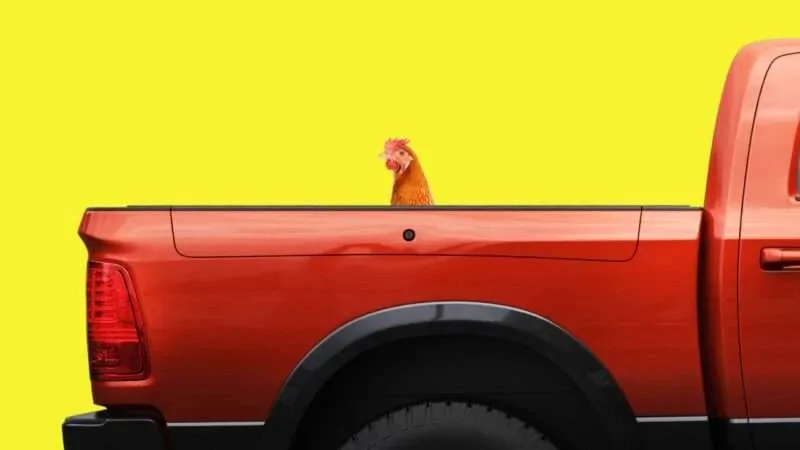 Tesla Cybertruck Cybertruck pricing: blame the chickens 49dd4d80a73c44bf2db4f07f97633730