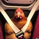 Tesla Cybertruck I ordered a SIX seater, not FIVE seats 1694031935134