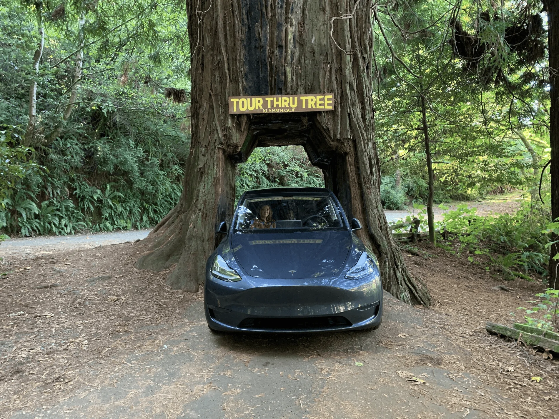 Tesla Cybertruck My journey to the Cybertruck 1694627958737