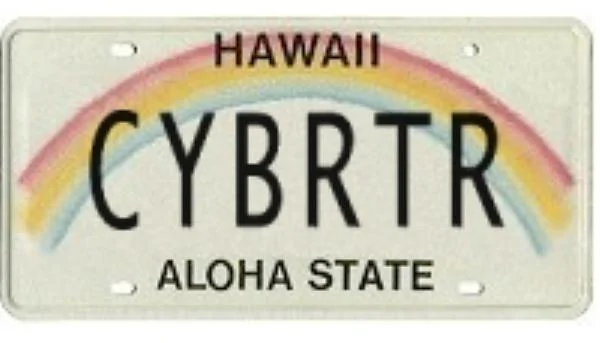 Tesla Cybertruck Custom license plate / vanity plate name for your Cybertruck? 1695850105546