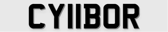 Tesla Cybertruck Custom license plate / vanity plate name for your Cybertruck? CY11BOR1