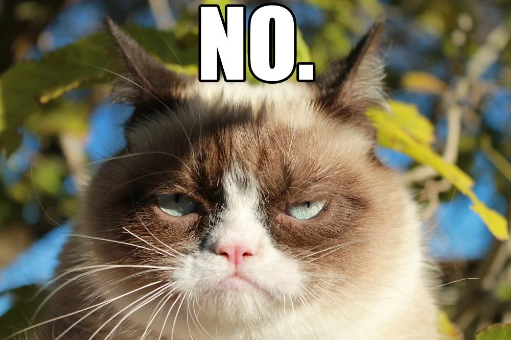 Tesla Cybertruck Rumor: $98900 price for tri-motor Cybertruck?? 2FFA-sv0KNDuY%2Fs1600%2Fgrumpy-cat-saying-no%2B(3)