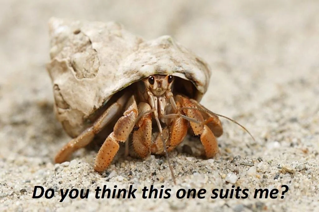 Tesla Cybertruck Musk talks Cybertruck specs (0-60, vehicle weight) & production volume on Joe Rogan podcast interview (10/31/23) hermit-crab-suits m