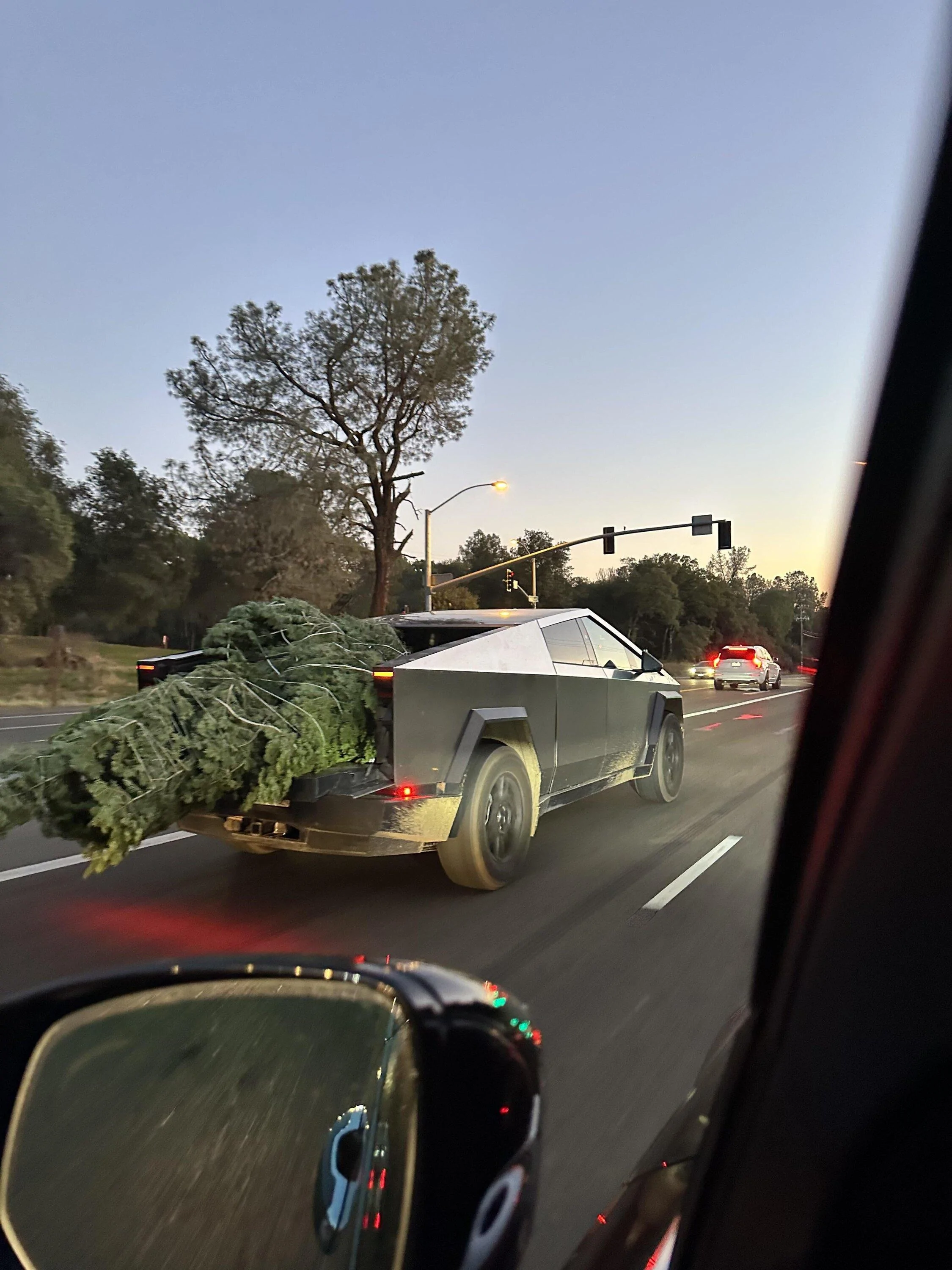Tesla Cybertruck Cybertruck hauling BACT (Big Ass Christmas Tree) with tailgate down 🎄 d9su8sjqzm0c1