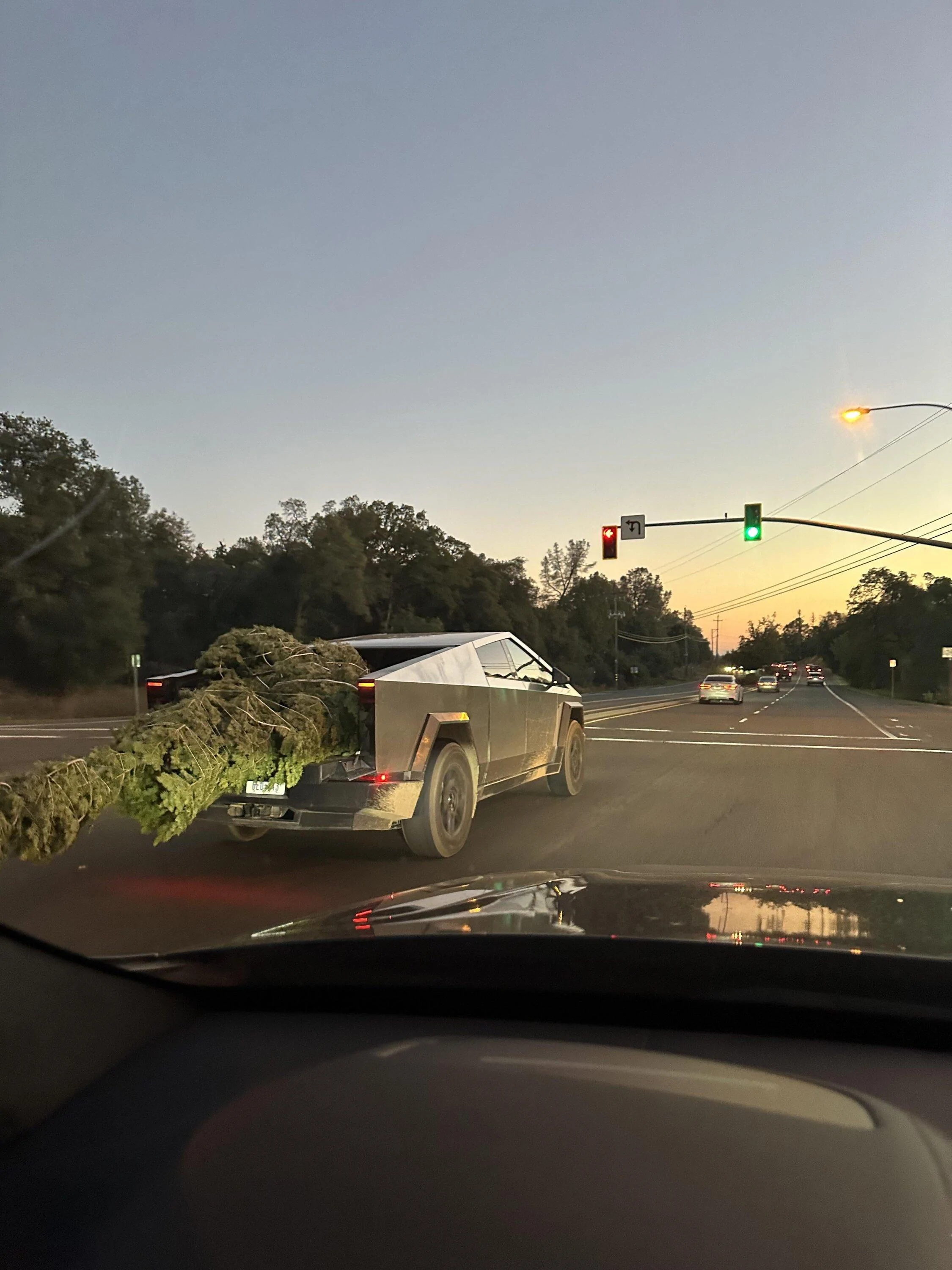 Tesla Cybertruck Cybertruck hauling BACT (Big Ass Christmas Tree) with tailgate down 🎄 oh0casjqzm0c1
