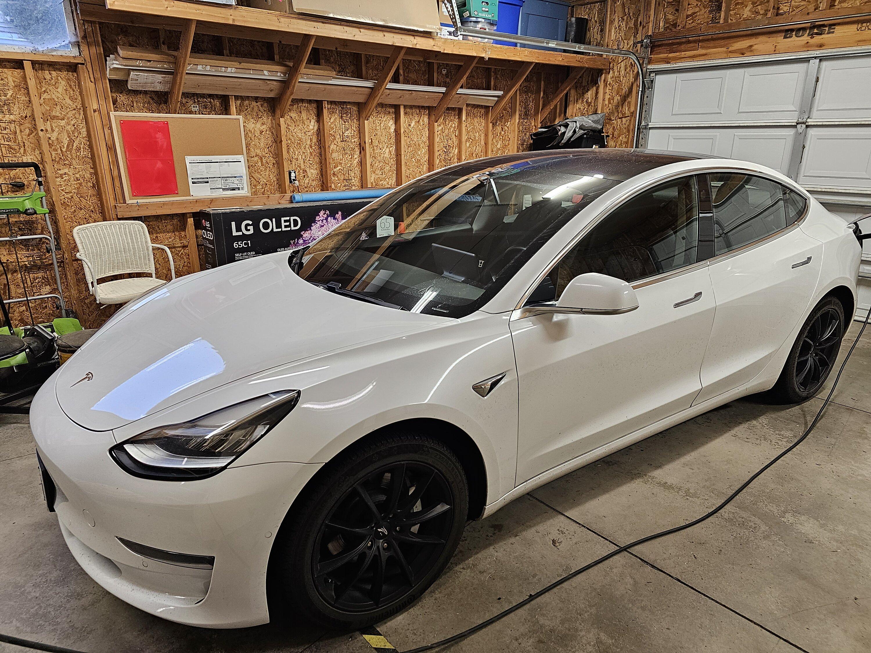 Tesla Cybertruck 🍻 CyberBeer + CyberStein Limited Edition Set Giveaway! [Enter Here] 20231129_085404