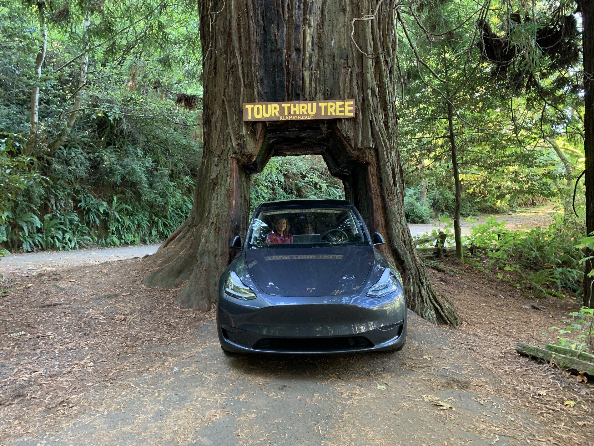 Tesla Cybertruck My journey to the Cybertruck 87176C38-A791-4359-ADCF-4A444F4DBE93