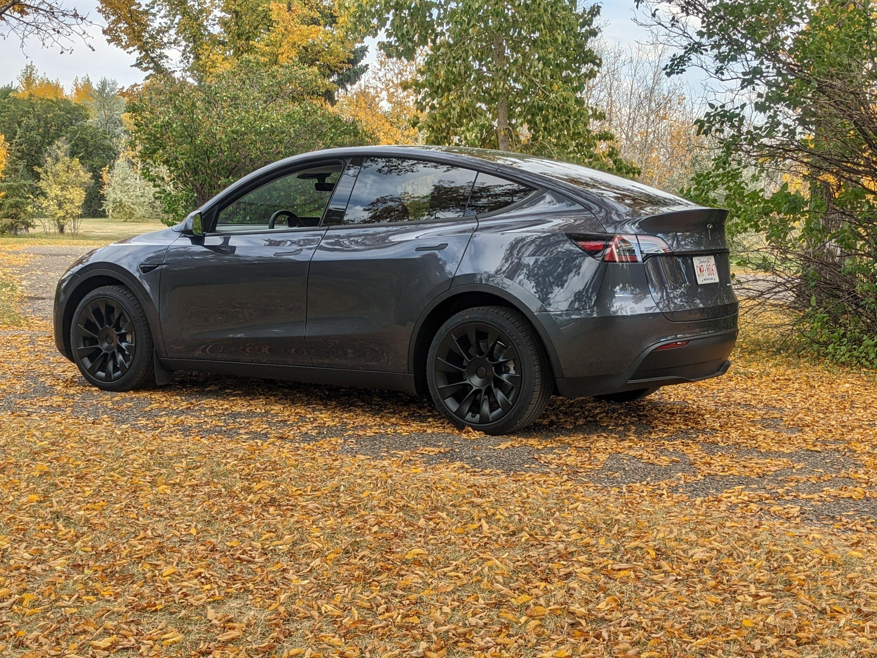 Tesla Cybertruck 🍻 CyberBeer + CyberStein Limited Edition Set Giveaway! [Enter Here] PXL_20220929_223323803