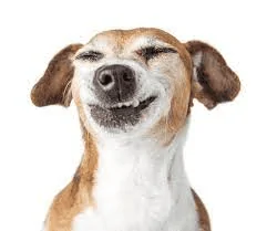 1703940468410.png