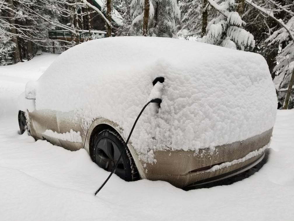 Tesla Cybertruck Help. Why not the Rivian? 1704646207169