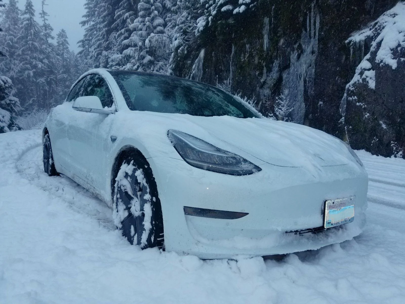 Tesla Cybertruck Help. Why not the Rivian? 1704646346737