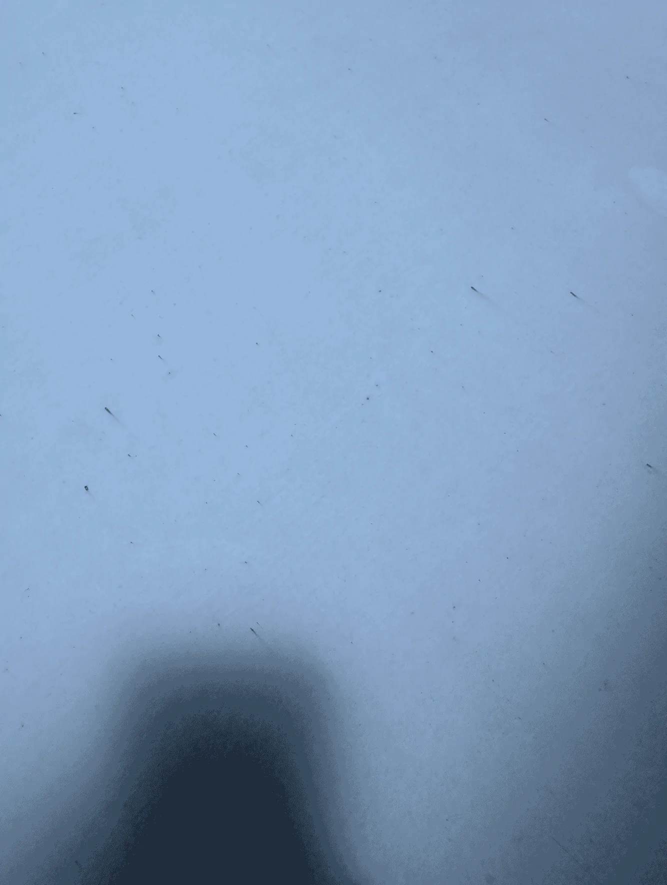 Tesla Cybertruck Rust Spots/Corrosion is the Norm Screenshot 2024-02-03 at 7.11.20 PM