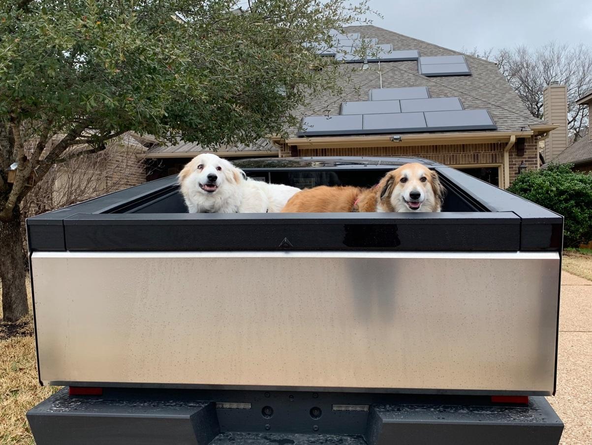 Tesla Cybertruck Cybertruck OWNERS List & Stats [Add Yours]! ✍🏻 dogapproved
