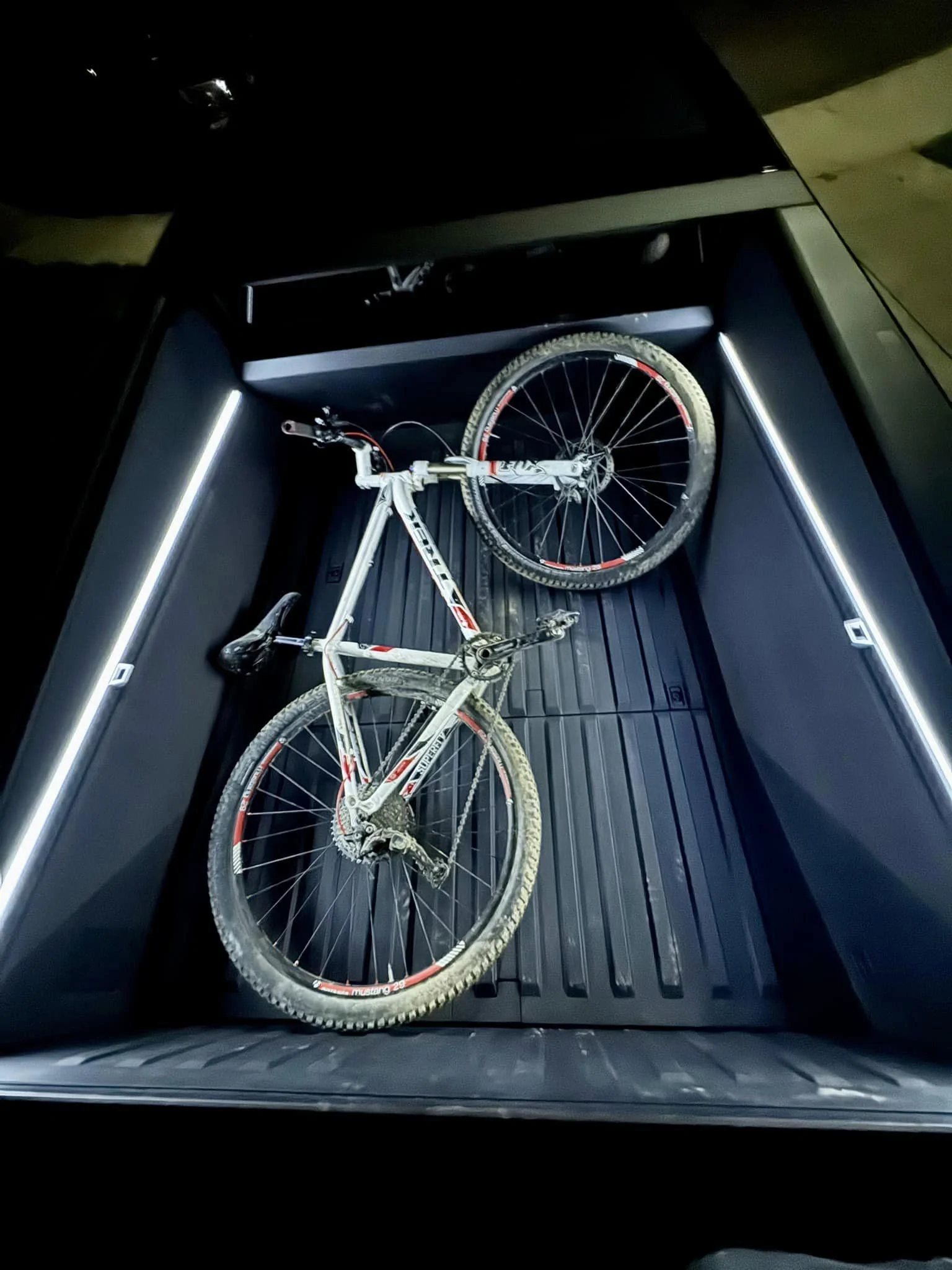 bike Bradley Rossignol FB Cybertruck 3of3.jpg