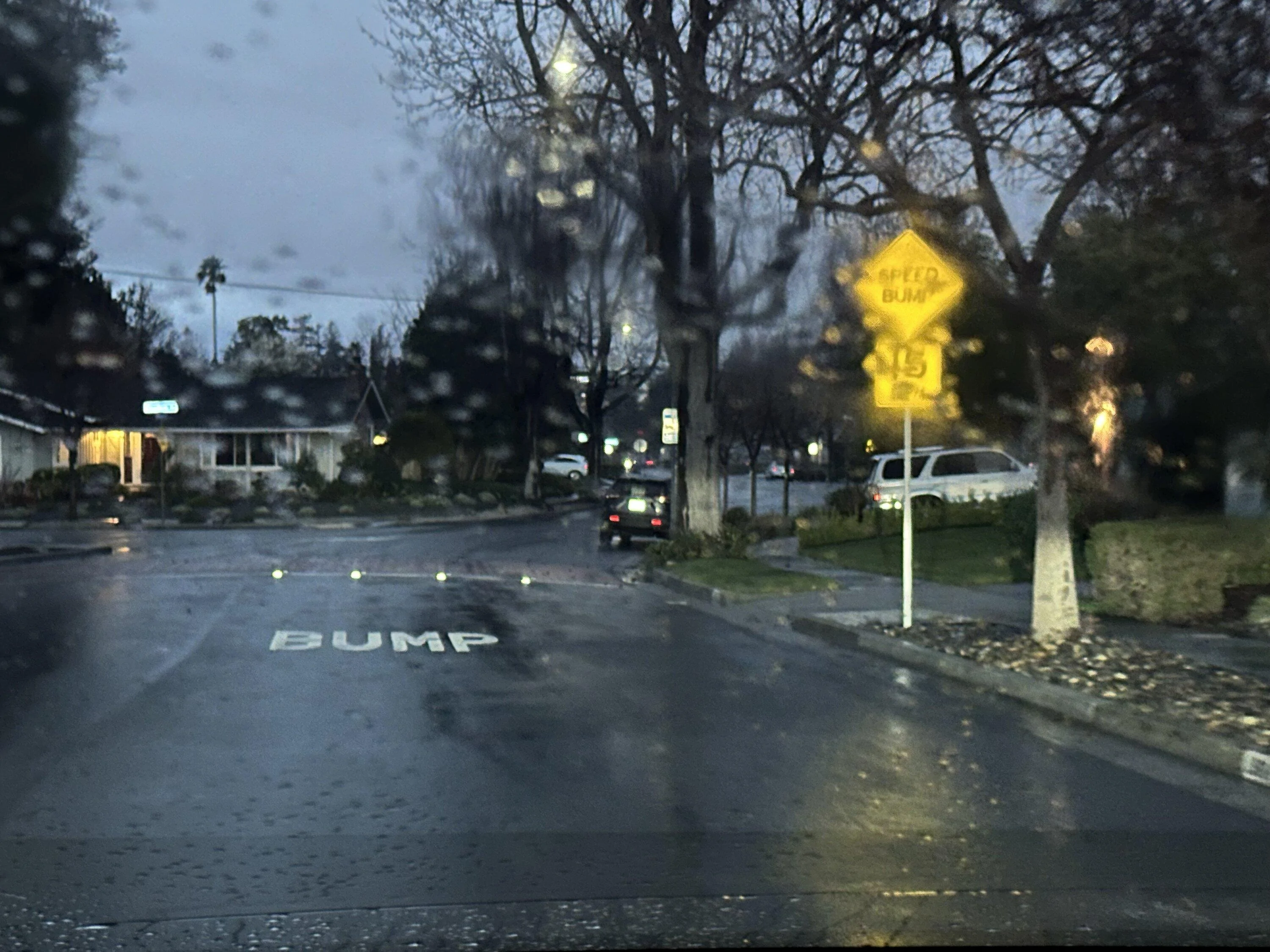 IMG_3904.jpeg