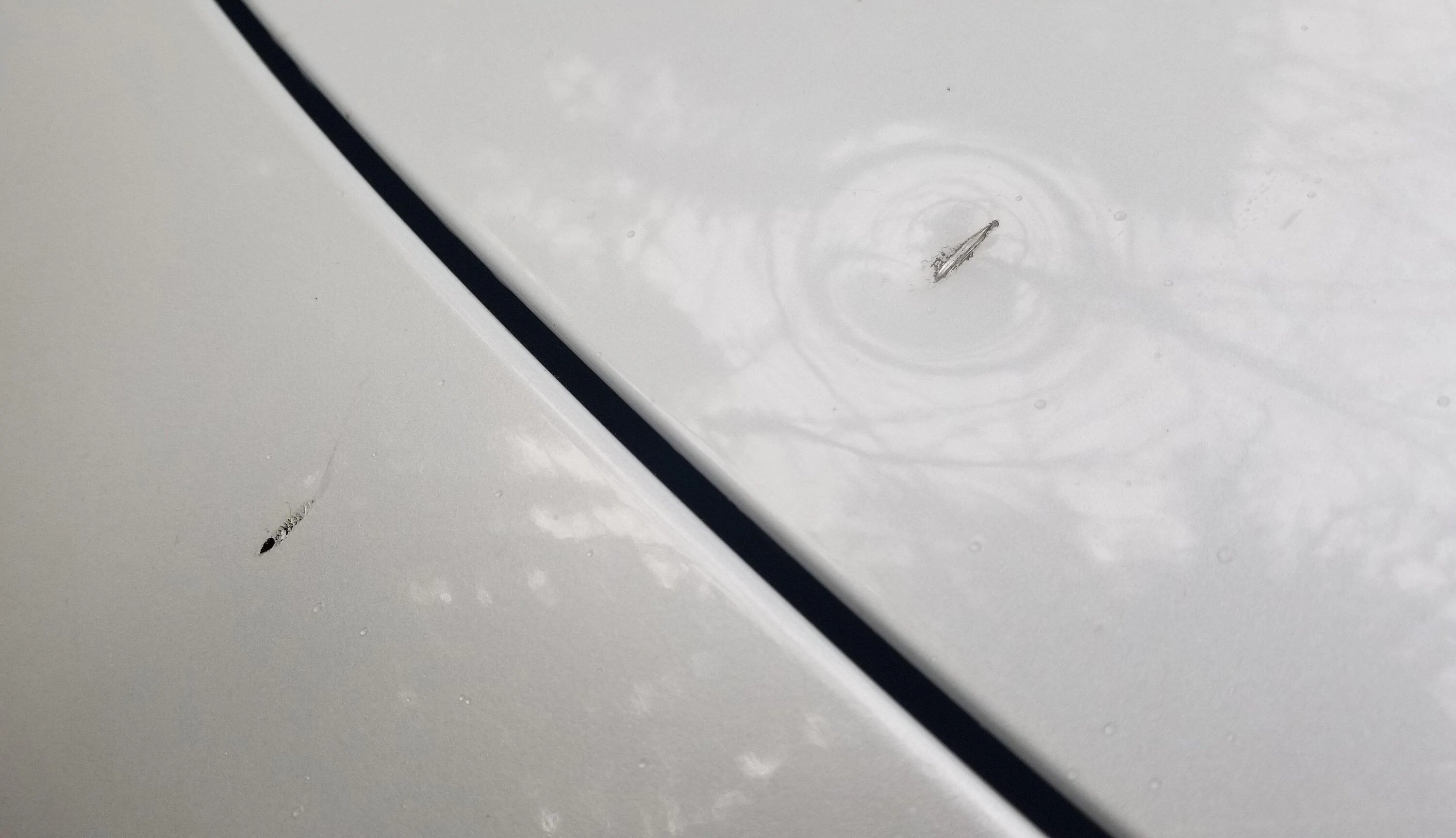Tesla Cybertruck I don’t think you need  PPF protection. The steel panels  hard to damage 1708471840322