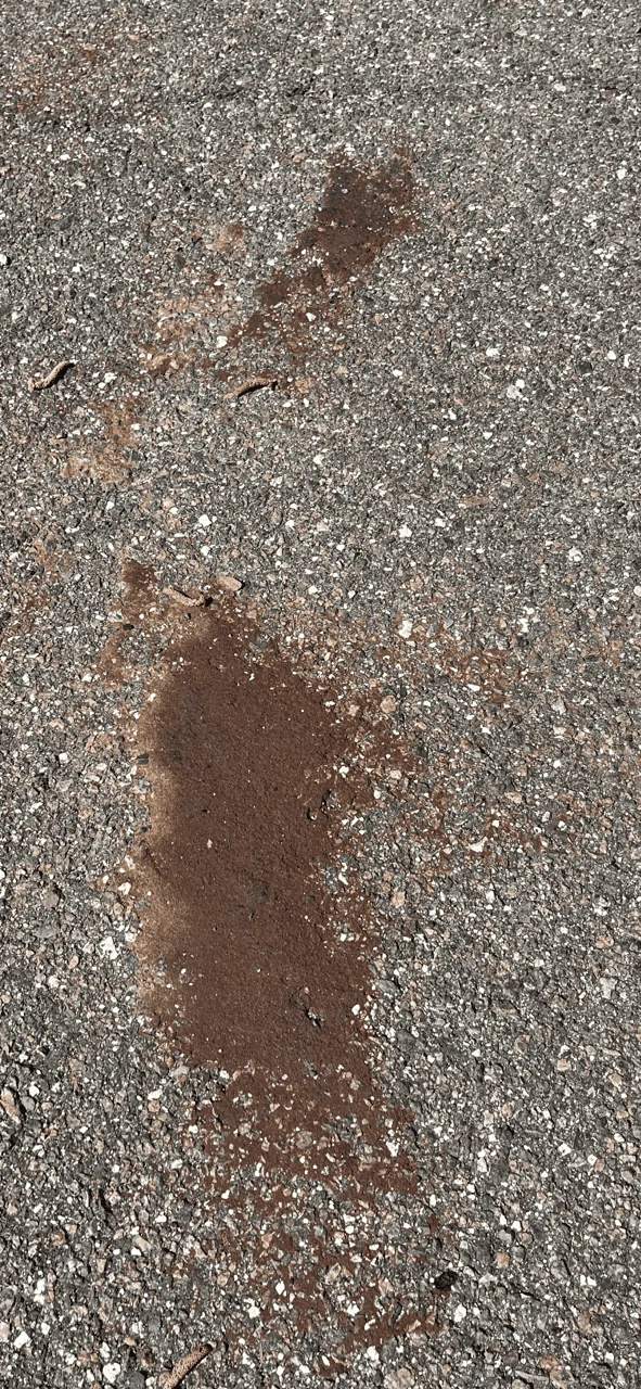 Tesla Cybertruck Cybertrucks are NOT rusting, just like my plastic trash can isn't! Unknown