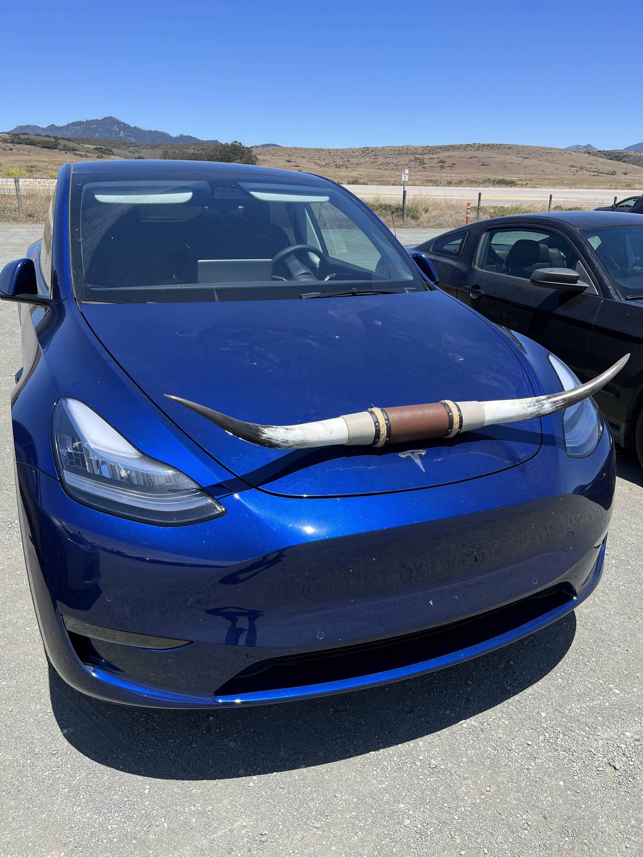 Tesla Cybertruck Cybertruck gets Horns 🦄 IMG_8312