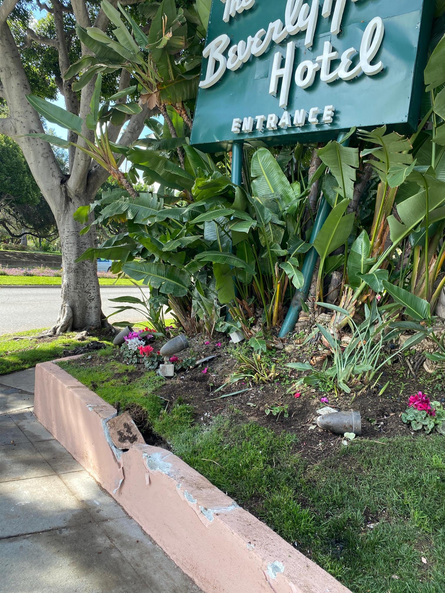 Tesla Cybertruck [Update: NOT VALET]  owner crashes Cybertruck at Beverly Hills Hotel 🤦🏻‍♂️ gh2mhhhwaae7taa-jpe
