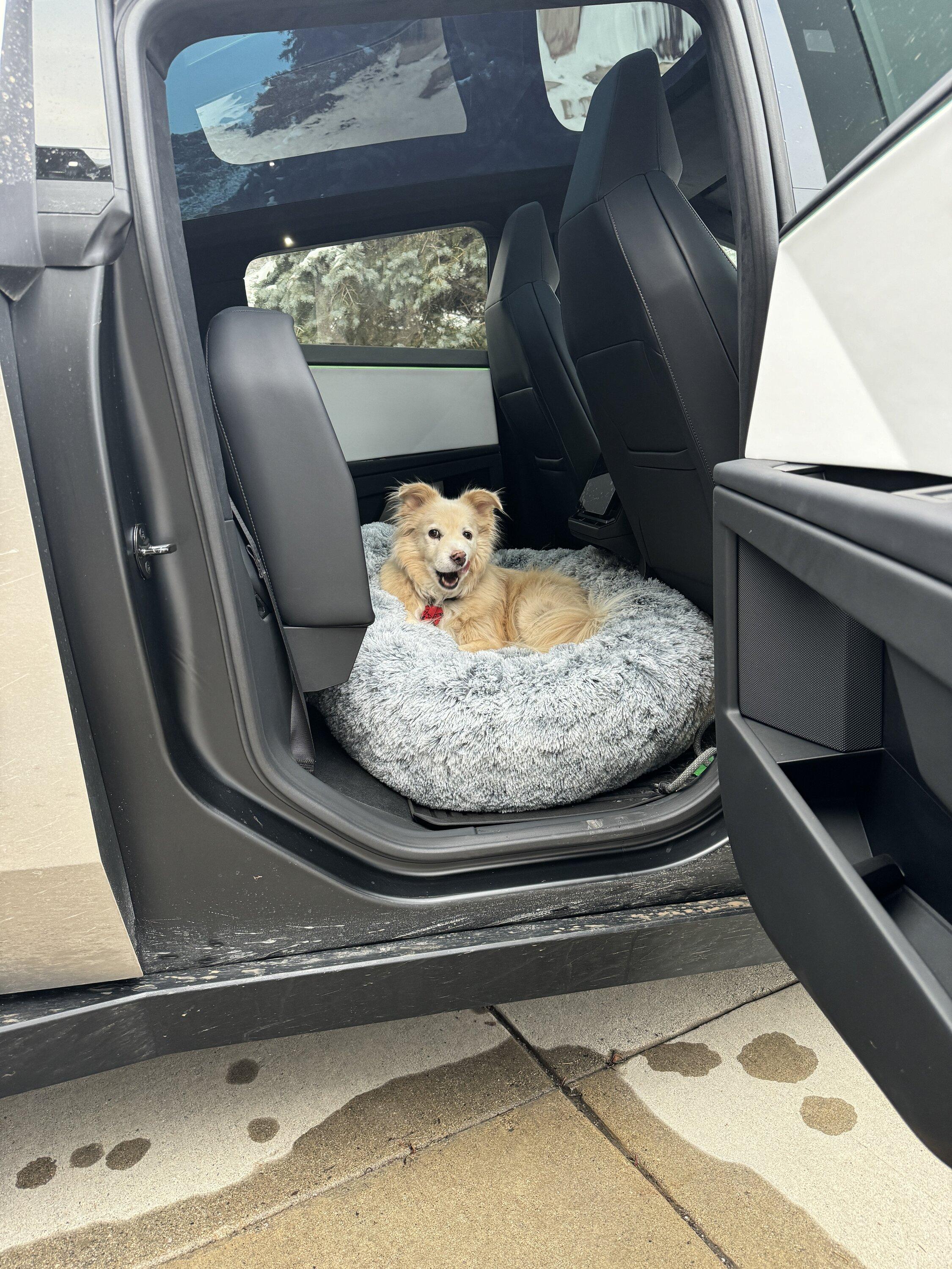 Tesla Cybertruck Underseat Storage Bin for Cybertruck (New Tesla Accessory) IMG_1081