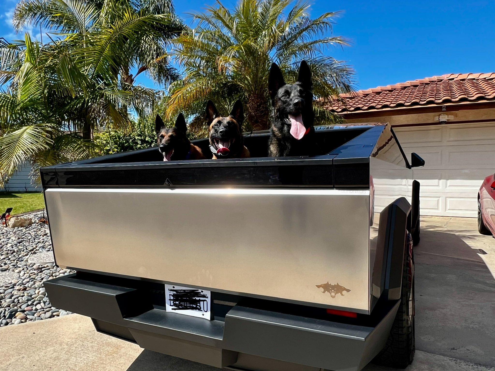 Tesla Cybertruck My Cyberbeast came with 3 Guard Dogs! cybeast 3 dogs 2