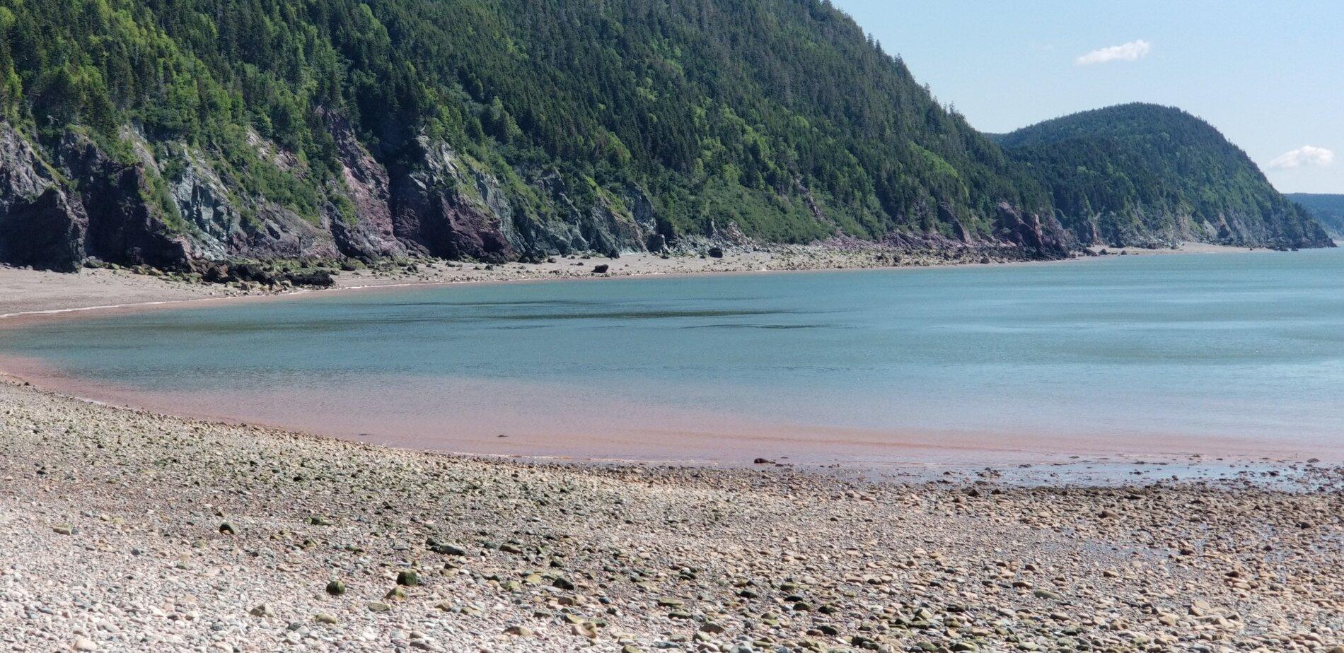 20190709_110230.jpg